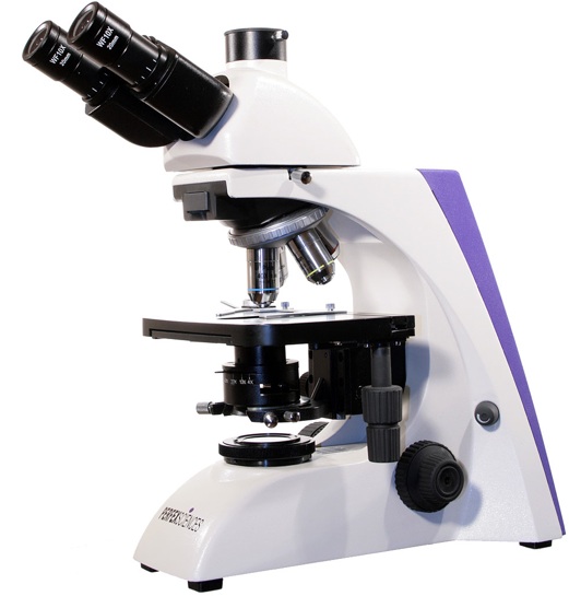 Microscope Tua MTU Department of Biological Sciences - New Students